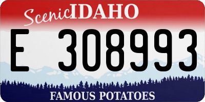 ID license plate E308993