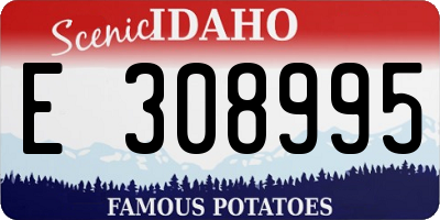 ID license plate E308995
