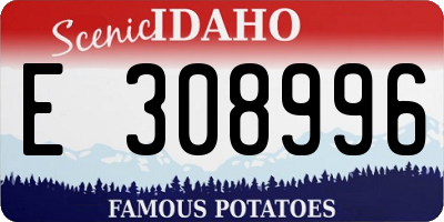 ID license plate E308996