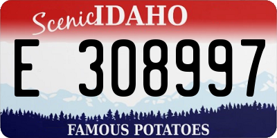 ID license plate E308997