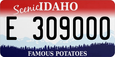ID license plate E309000