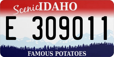 ID license plate E309011