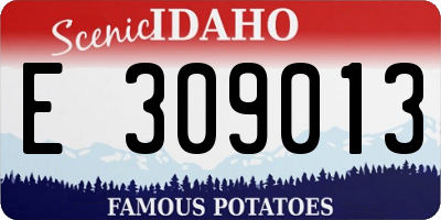 ID license plate E309013