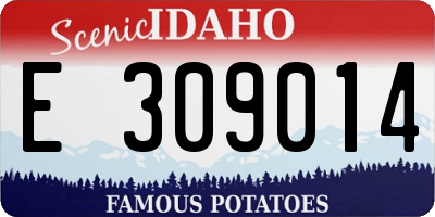 ID license plate E309014