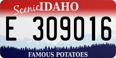 ID license plate E309016