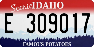 ID license plate E309017