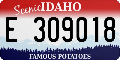 ID license plate E309018