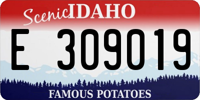 ID license plate E309019