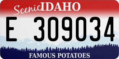 ID license plate E309034