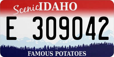 ID license plate E309042