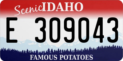 ID license plate E309043
