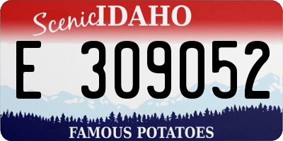 ID license plate E309052
