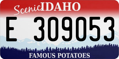 ID license plate E309053