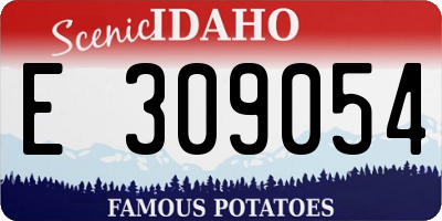 ID license plate E309054