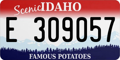 ID license plate E309057