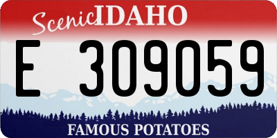 ID license plate E309059