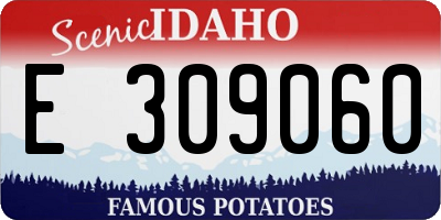 ID license plate E309060