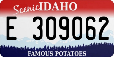ID license plate E309062