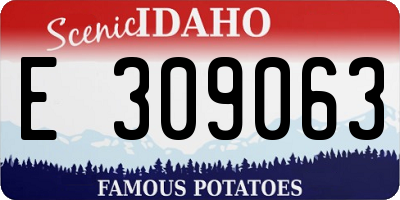 ID license plate E309063