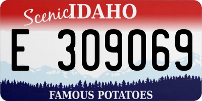 ID license plate E309069