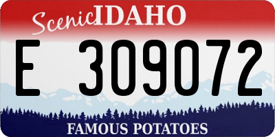ID license plate E309072