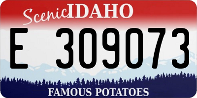 ID license plate E309073