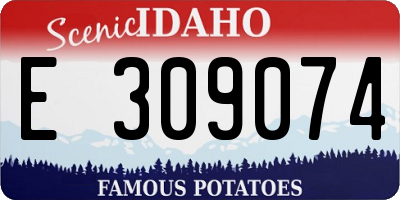 ID license plate E309074