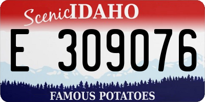 ID license plate E309076