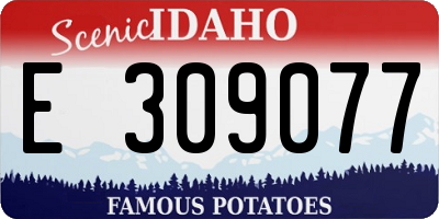 ID license plate E309077