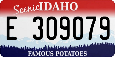 ID license plate E309079