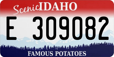 ID license plate E309082