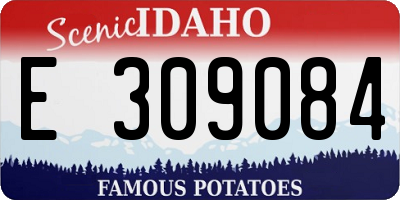 ID license plate E309084