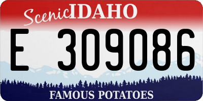 ID license plate E309086
