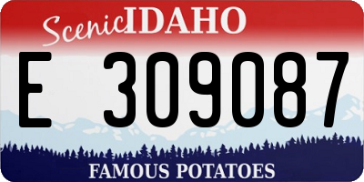 ID license plate E309087