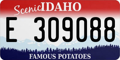 ID license plate E309088