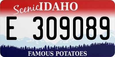 ID license plate E309089