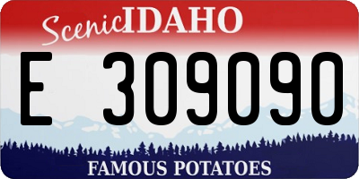 ID license plate E309090
