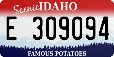 ID license plate E309094