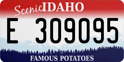 ID license plate E309095