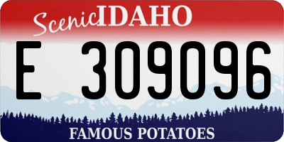 ID license plate E309096