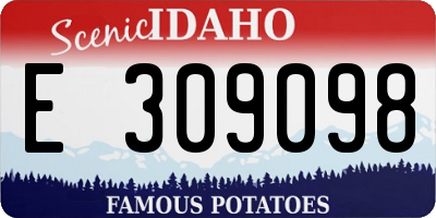 ID license plate E309098