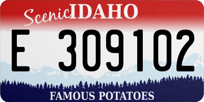 ID license plate E309102