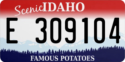 ID license plate E309104
