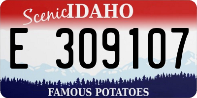 ID license plate E309107