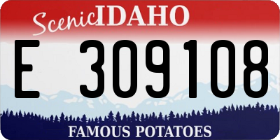 ID license plate E309108
