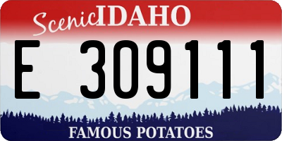 ID license plate E309111