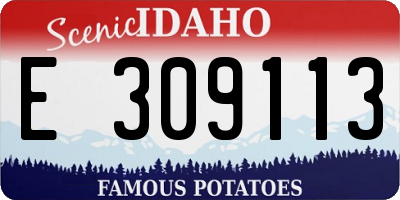 ID license plate E309113