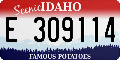 ID license plate E309114