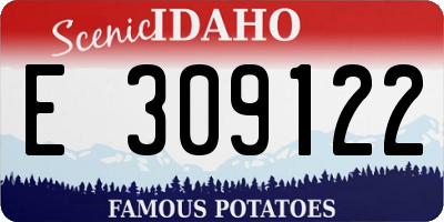 ID license plate E309122