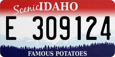 ID license plate E309124